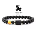 Capricorn 2