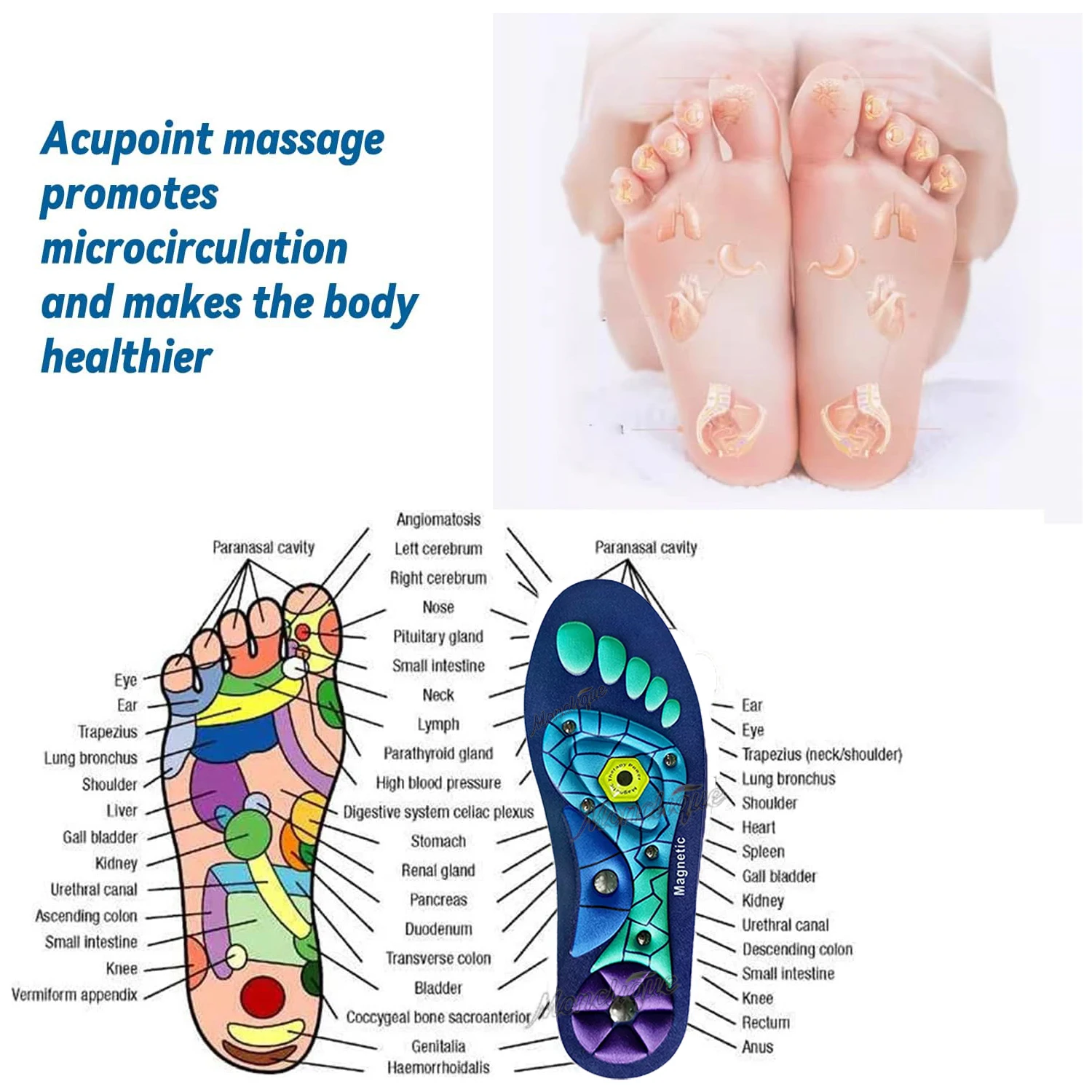 Orthopedic Acupoint Massage Insole with Magnetic Technology Shock Absorption Non-Slip Breathable Shoe Pad Help Blood Circulation