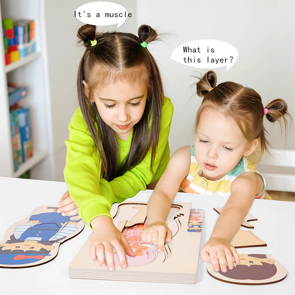 Wooden Jigsaw Puzzles Jigsaw Puzzles Wooden Puzzle Toys Educational Puzzles Wooden Human Body Puzzle Montessori Boys Girls Multi-Layer Body Structure Puzzle Cognitive Teaching Aids Learning Toys For Child
