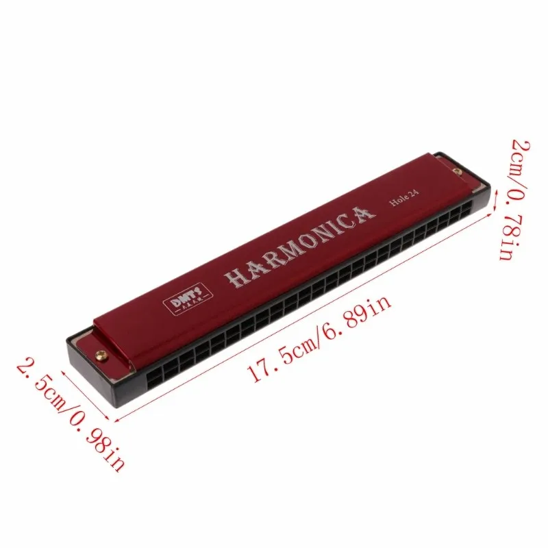Metal Harmonica 24 Hole Mouth Organ for Beginners with Case