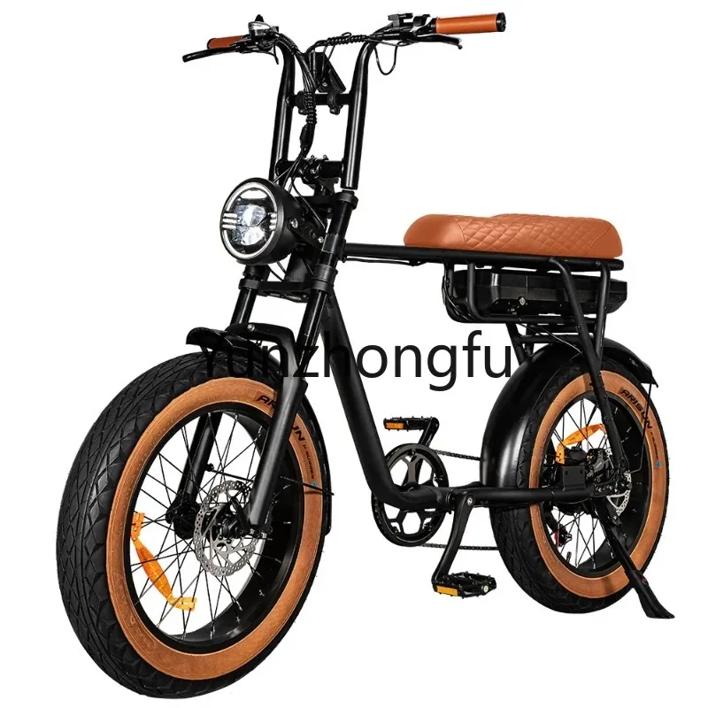 

EB4 EB2 Super Fast Adult Electric Bike Fat Tire Ebike 750w Retro Super EU Warehouse 73 Electric Bicycle