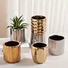 Geometric Gold Plating Personalized Small Flower Pot Nordic Light Luxury INS Style Desktop Ceramic Flower Pot with Porky Flowers 1