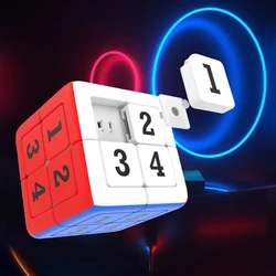 Magnetic Magic Cube Sudoku Logic Puzzle - Fun and Educational Toy (2x2)
