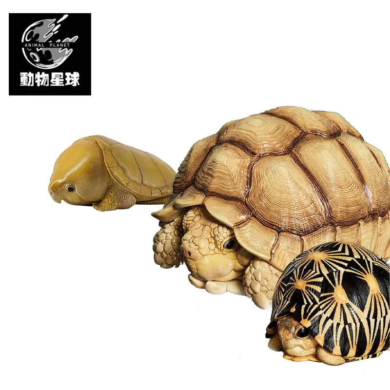 

Animal Planet A SERIES OF LAUGH AND GROW FAT Centrochelys Sulcata Carettochelys Insculpta Platysternon Megacephalum Model Toys