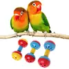 Bird  Colorful Plastics Interactive Dual Balls Parrot Toy for African Greys Cockatoo Small Medium Parrots Y5GB 5