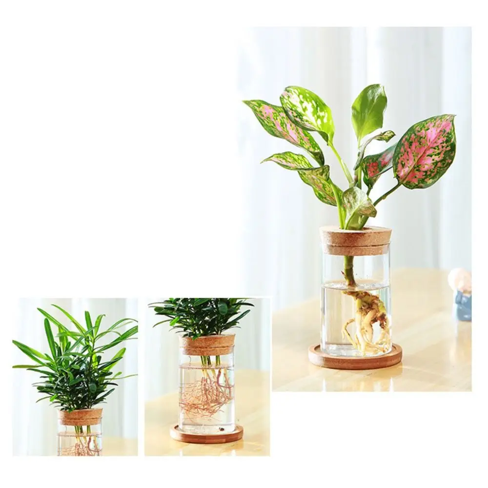 Transparent Hydroponic Flower Pot Green Plant Soilless Creative Home Glass Vase Potted Mini Terrarium flower pot flower vase hydroponic flower pot