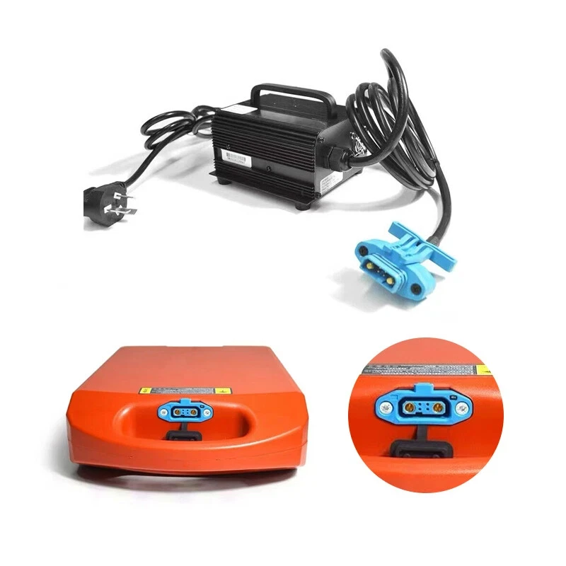 Caricabatterie Litio 24V 10A TeeTrek Per Transpallet Heli/Jiali CBD15J-LI2