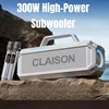 300W Karaoke Machine with Two Wireless Microphones, Powerful Portable Speaker,RGB Lights, Supports BT/AUX/USB/TF for Party