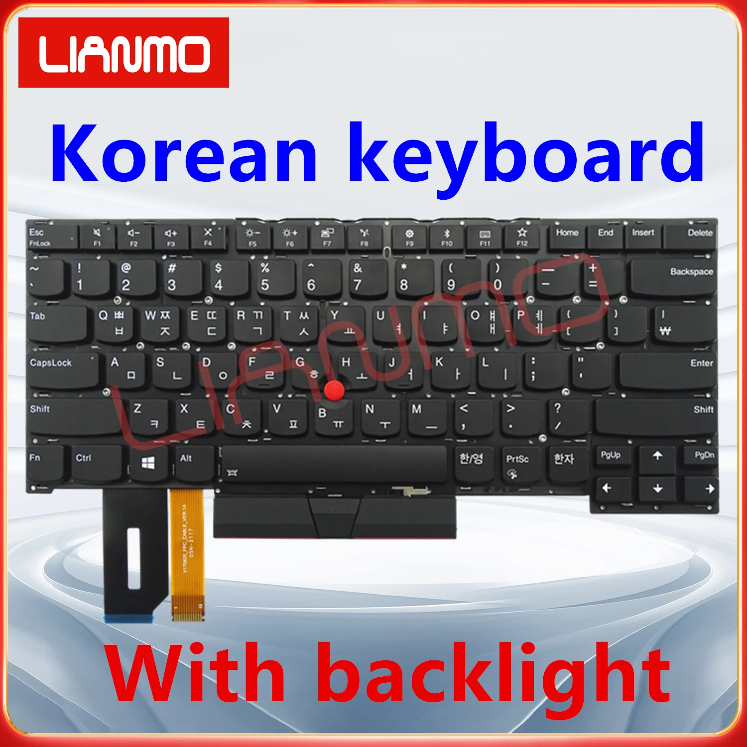 Korean Backlit