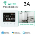 Water Gas Boiler