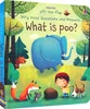 Usborne Books Small Size Very First Q&A Lift-the-flap Educational English Book for Kids Popular Science Learning Montessori Toys 3