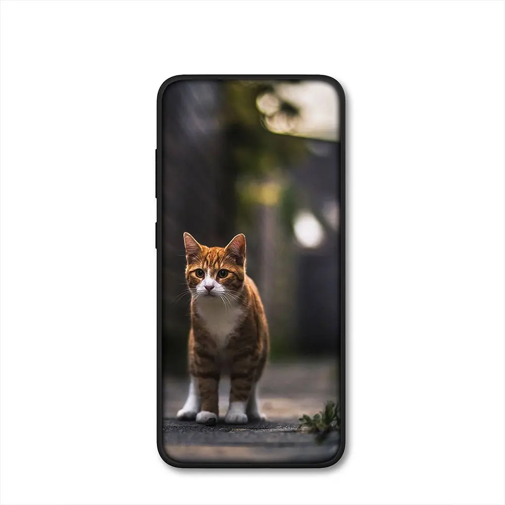 Adorable Kitten Cat Phone Case
