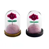 120pcs Mini Glass Dome Cloches Bell Jar Beautifully packaged eternal flowers for Home decoration, Valentine's Day gifts 5
