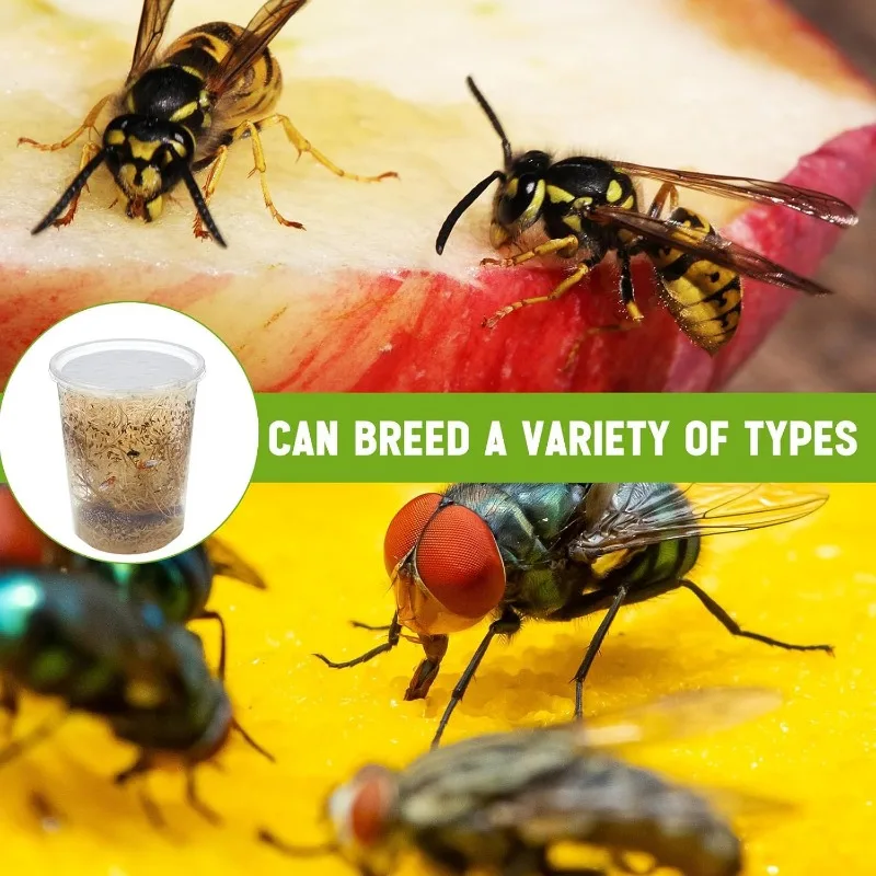 12 Sets of 32 oz Plastic Fresh Fruit Fly Culture Insect Culture Cups with Vented Fabric Lids Insect Container