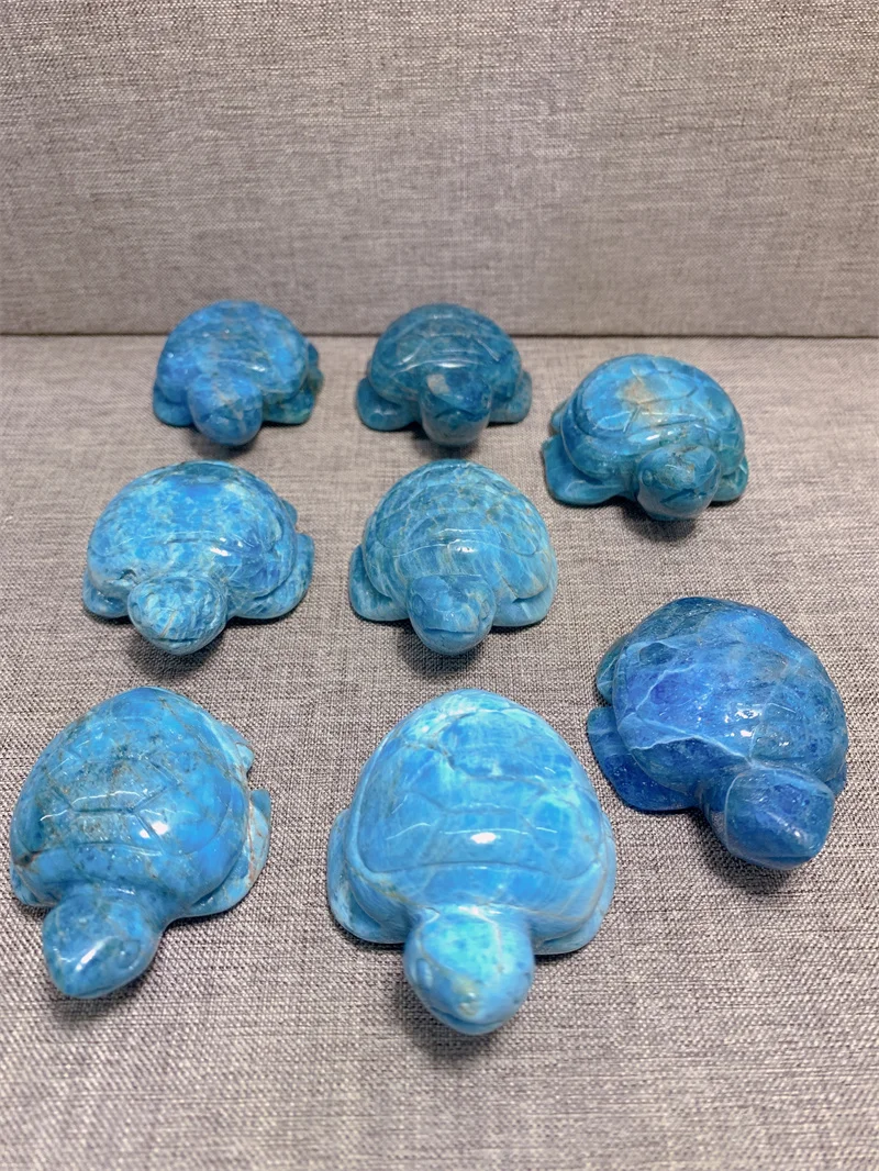 

Natural Blue Apatite Tortoise Free Form Tumble Slab Crystal Mineral Madagascar Healing Palm Workmanship Ornament Carving Chip
