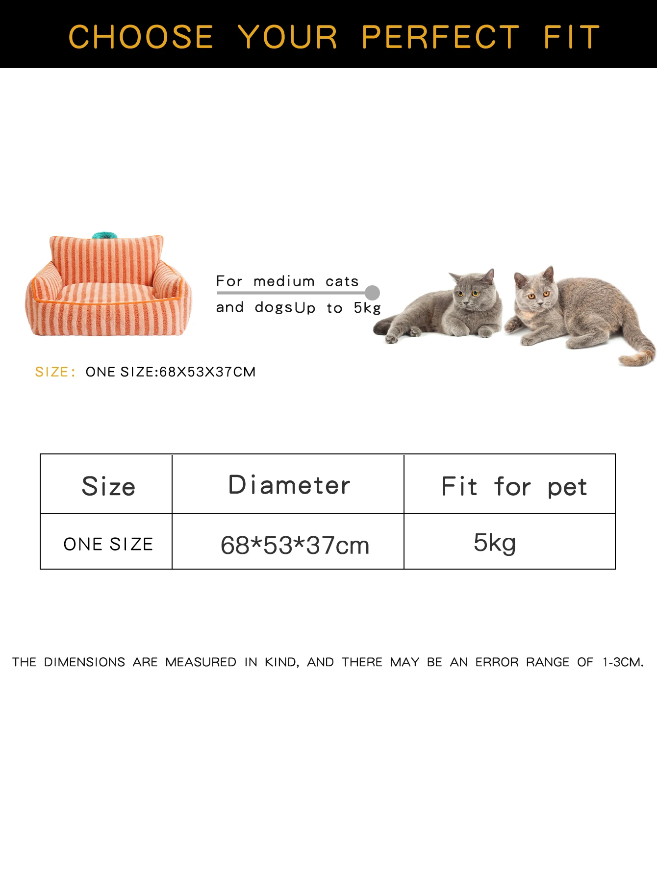 Cats Bed 6