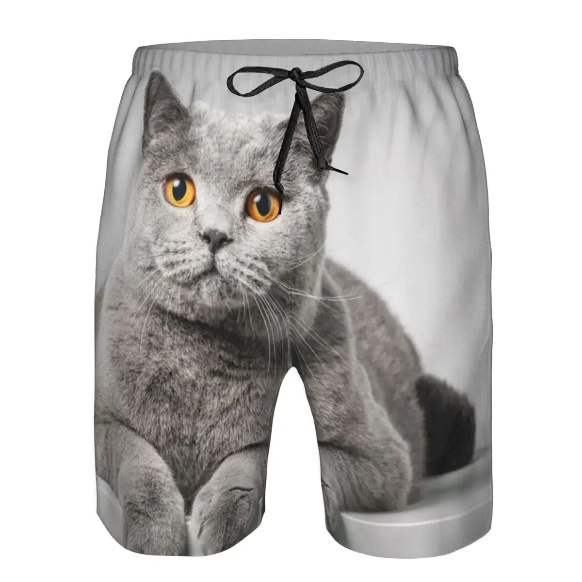 

British Shorthair Cat Lying On Table Quick Dry Swimming Shorts For Men Swimwear Swimsuit Swim Trunk Bathing Beach Wear