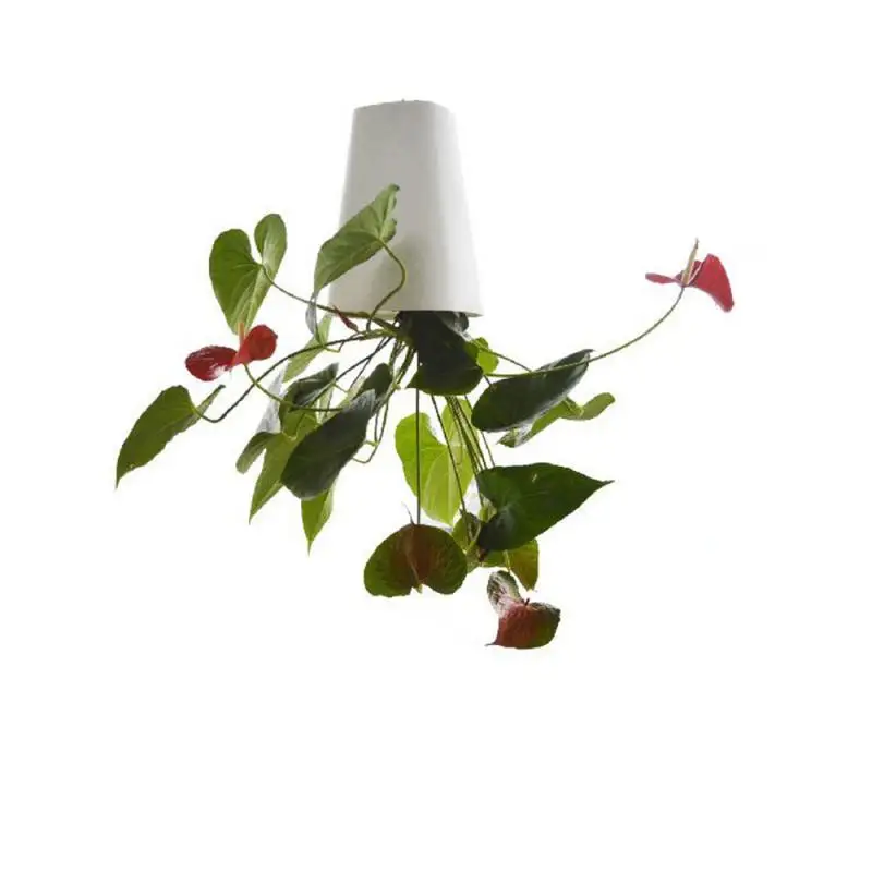 

Home Decoration Ornament Purify Air Unique Design Durable Can Be Inverted Self-watering Plant Support Flowerpot Breathable Hang