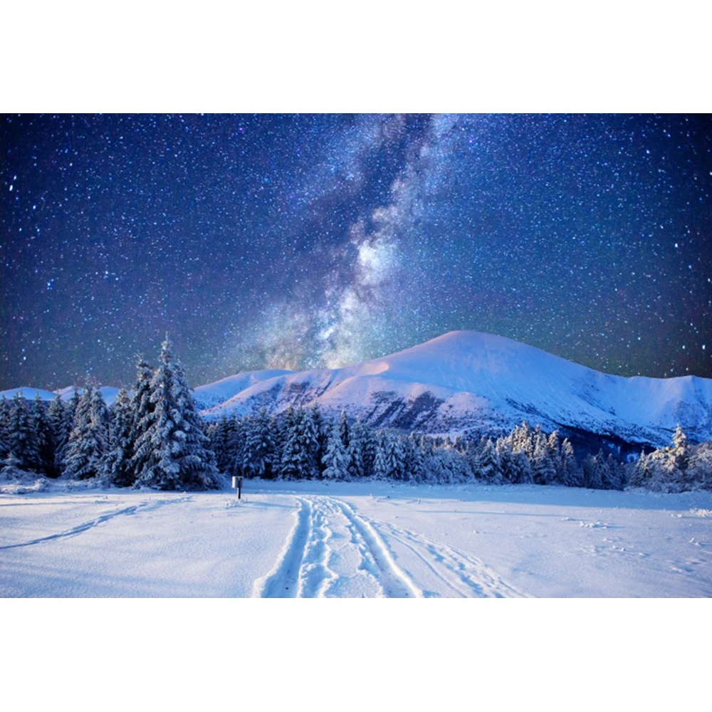 Starry Night Winter Forest Photography Backdrop - Christmas Party Decor & Child Portrait Photo Prop