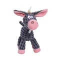 Little Donkey