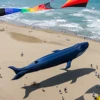 30D 9M Inflatable Whale Soft Kite Adult Giant Kite Beach Show Nylon Kites Tearproof and Easy To Fly Laundry Pendant Kite 1