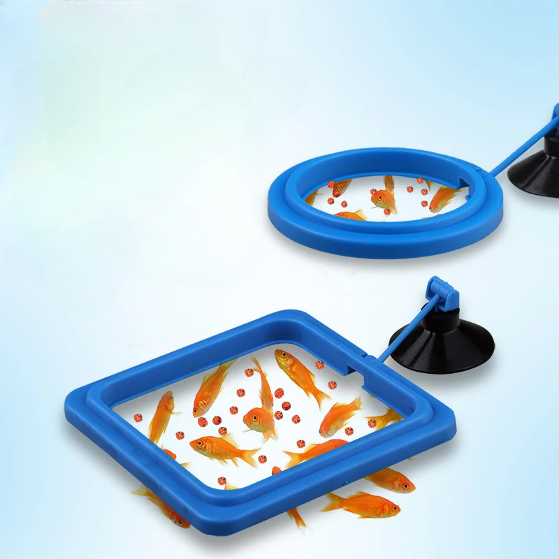 Fish Feeding Supplies Plastic Buoyancy Circle for Aquarium Floating Food Feeder Square/Round Feeding Ring Mini Fish Tank Tools