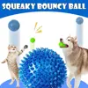 S411ad15eaa0f4787806439691df6d4acp.jpg 3/6Pcs Squeaky Dog Ball Toys,Dog Chew Balls for Boredom, Floatable Pool Dog Toys,Puppy Teeth Cleaning Toys for Small Medium Dogs