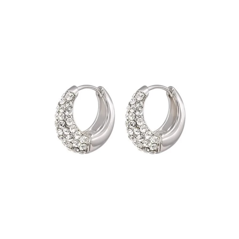 925 Silver Exquisite Zircon Earrings 2026 New Style Fashionable Elegant High End Design Luxurious Earrings for Women - 6