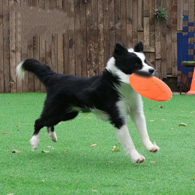 Silicone Flying Saucer Funny Dog Cat Toy Dog Game Flying Discs Resistant Chew Puppy Training Interactive Pet Supplies 3