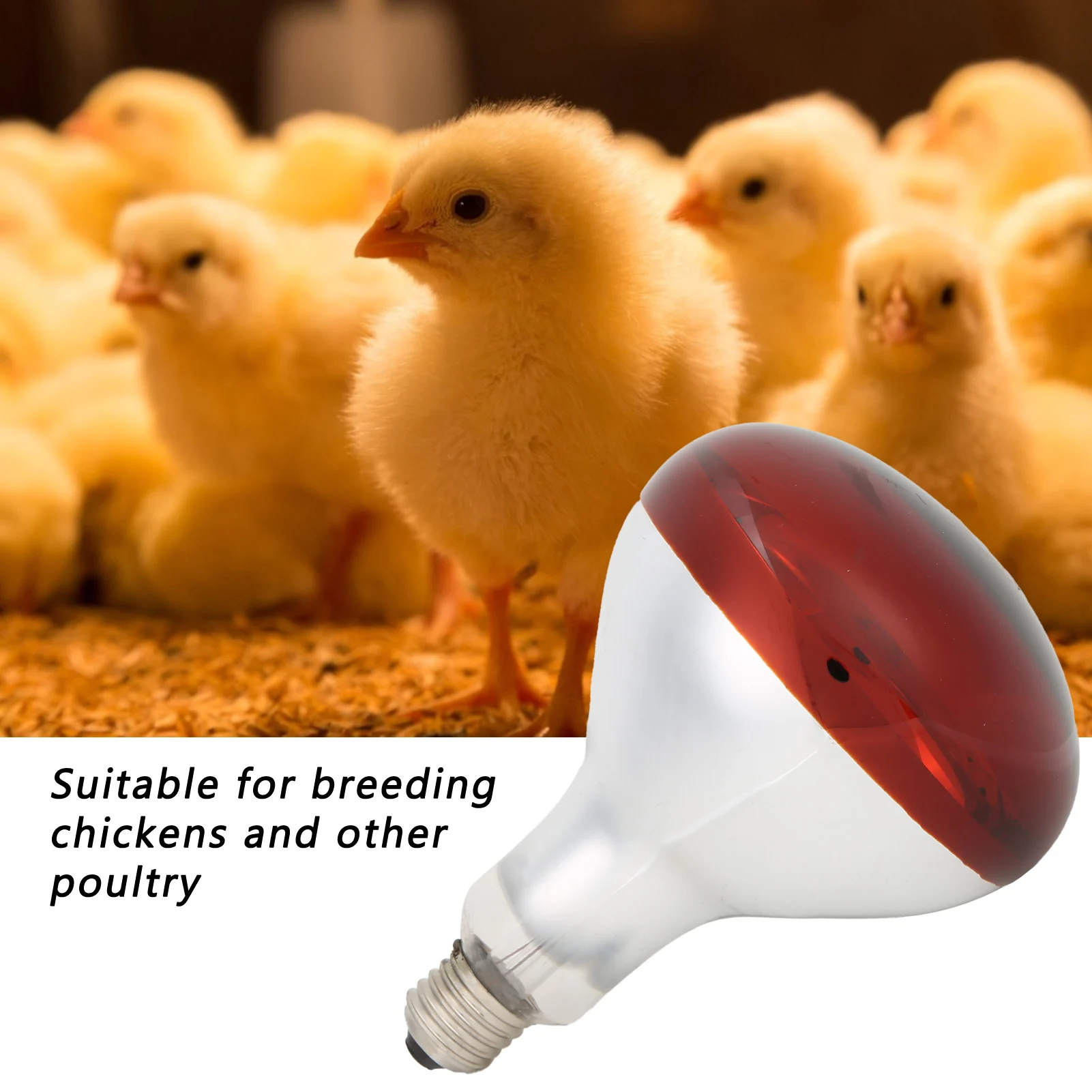Chicks Heat Lamp Bulb Infrared Basking Spot Heat Reptile Lamp Red Bulb for Brooder 220V / 250W
