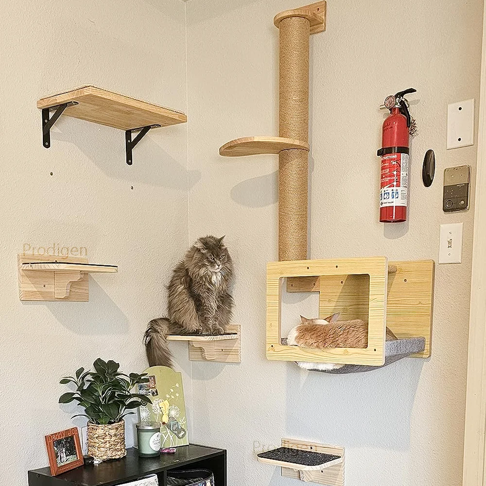 Katzenklo Rampe | Doppelschichtige Katzenstreu Pedal Stufe - Leicht Zu