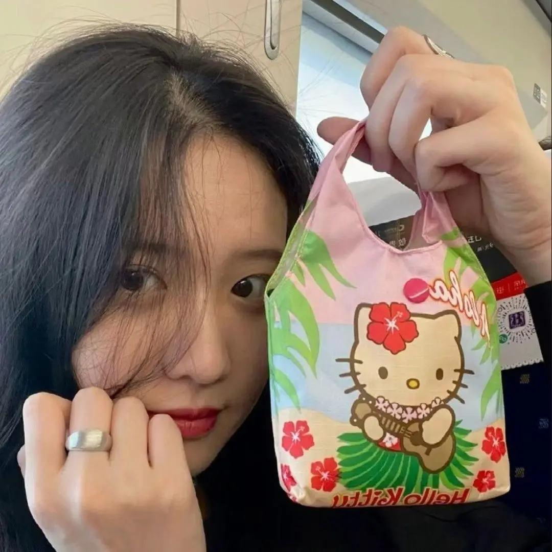 

Hello Kitty Sanrio Plush Kawaii Cartoon Cute Handbag Small Tote Bag Shoulder Lunch Bag Anime Plush Toys for Girl Birthday Gift