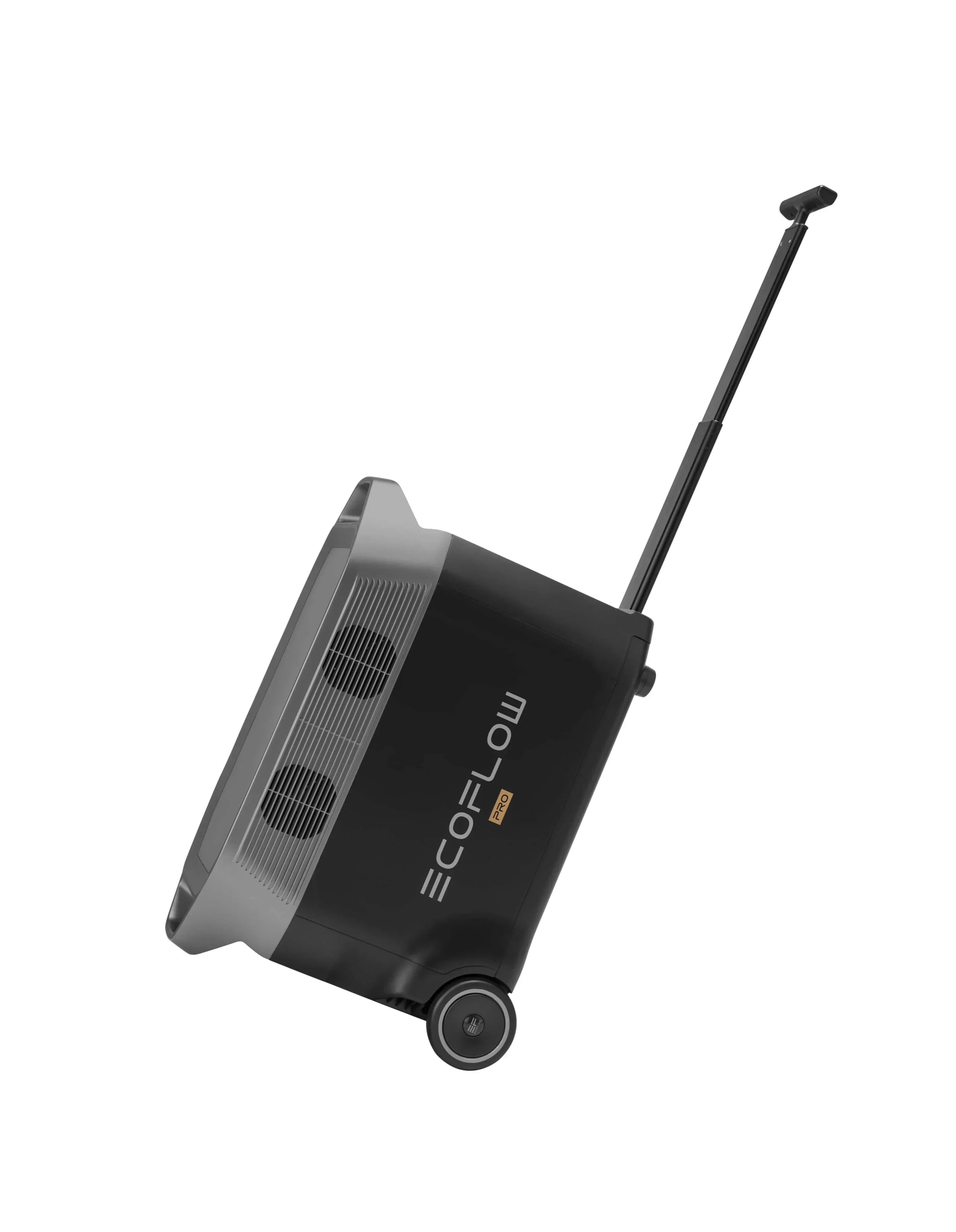 Uscita Ca 3600W Ecoflow Delta Pro Batteria Domestica Portatile, Centrale Elettrica,