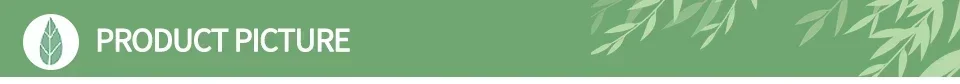 Description Picture 4 of item18set Garden Plant Stake Support Detachable Plant Support Pile Flower Plants Grow Fixing Rod Vine Climbing Bracket Bonsai Holder