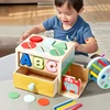 Montessori Wooden Sensory Toy Baby Shape Matching Color Cognition  Permanence Box Kid Music Stick Fine Motor Skill Education Toy 1