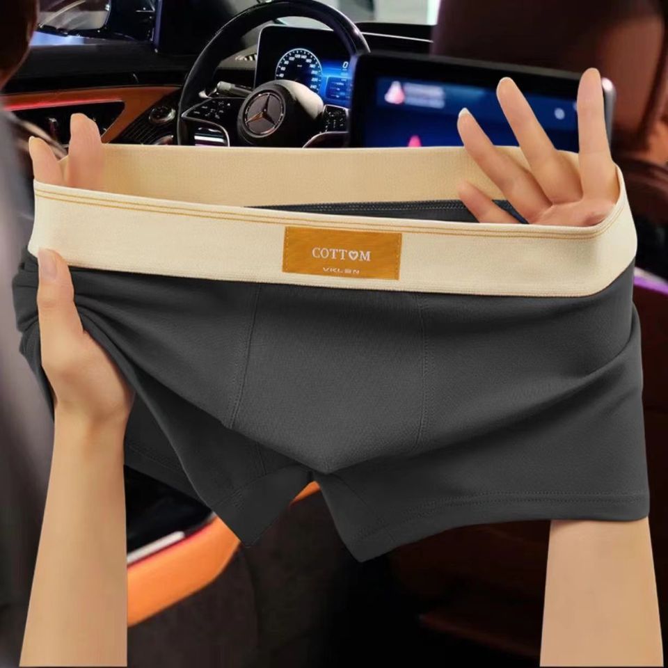  4 pcs Men Underwear Cotton BoxerShorts Hombre Panties Man Breathable Underpants Sexy Sports Comfort Male Boxers Large Size L-7XL 