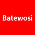 Batewosi Automobile appearance parts Store