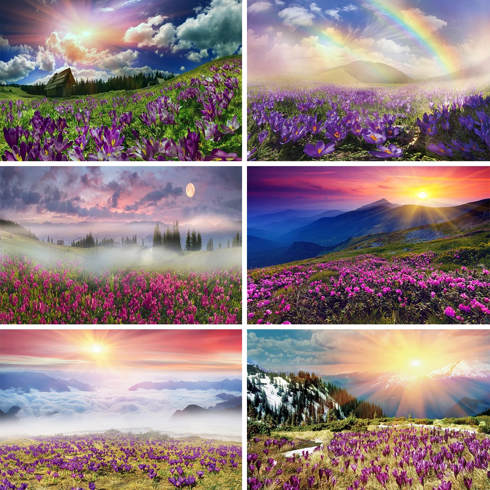 

Laeacco Spring Rainbow Sunlight Flowers Backdrop Decro Baby Portrait Photozone Backdrop Photography Backgrounds