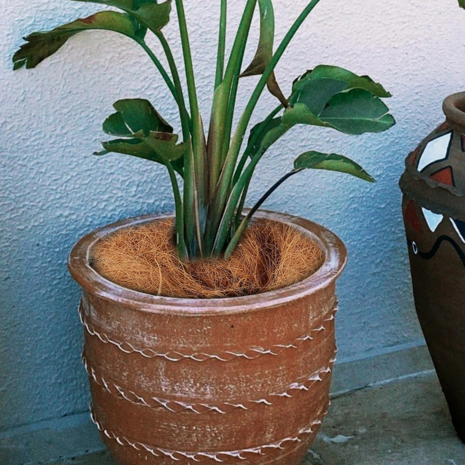Coconut Fiber Liners Plant Pot Coir Fiber Mulch Flowerpot Mat
