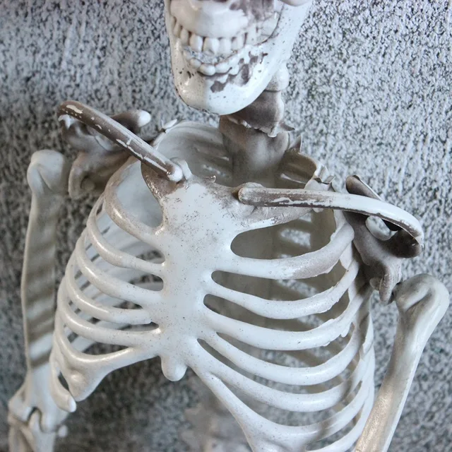 90cm Halloween Horror Anatomie Beweglichen Schädel Skeleton Halloween  Requisiten Poseable Volle Leben Größe Skeleton Prop Halloween Dekoration -  AliExpress