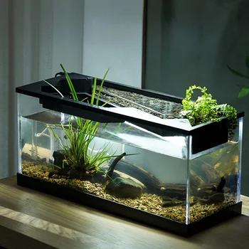 Acrylic Fish Tank with Light & Pump 1