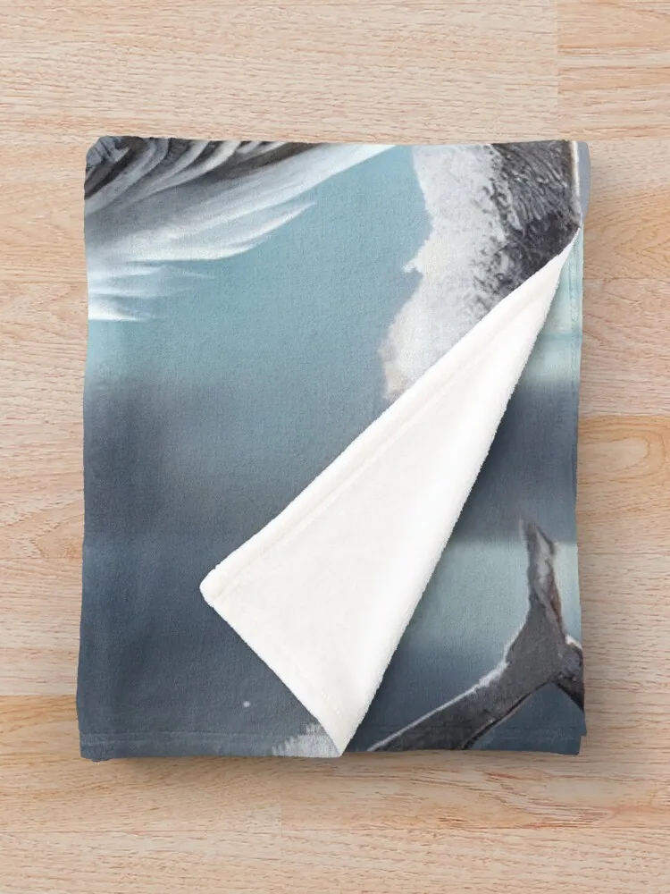 �� �û��� ������ ��� ��� ��� ��