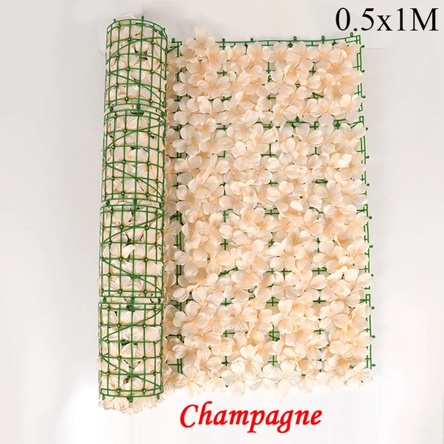 Champagne 0.5x1M