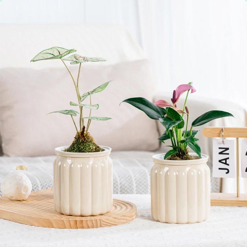 Hydroponic Plants Pot flower pot hydroponic flower pot plant pot Self Watering Indoor Mini Succulent Planter Tabletop Vase for Home Office Bonsai Decor