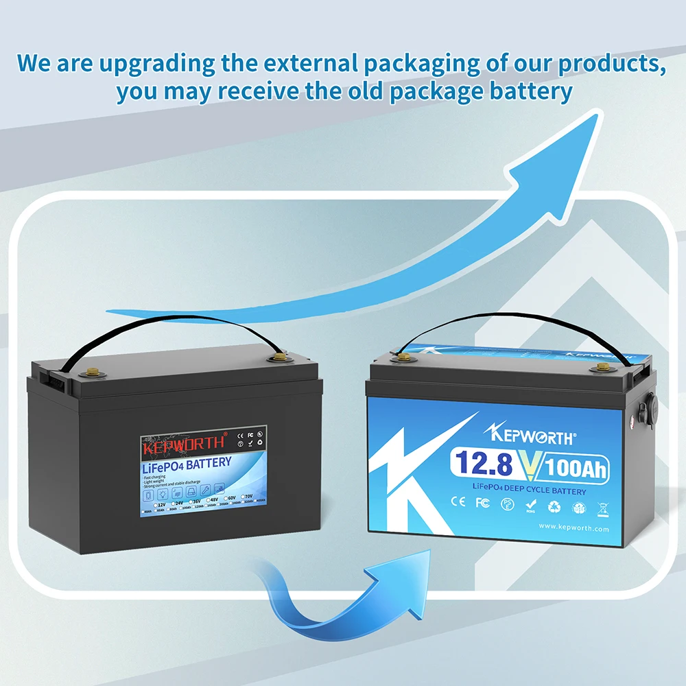 Lithium Iron Phosphate Battery 12V 24V 100Ah 120Ah 200Ah With BMS For Golf Cart EV RV Solar Energy Trolling Motor