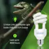 UVB 5.0 10.0 Reptile Heating Lamp 13W /26W UV Energy Saving Bulb Terrarium Basking Reptile Light Turtle Lizard Snake Lamps 3