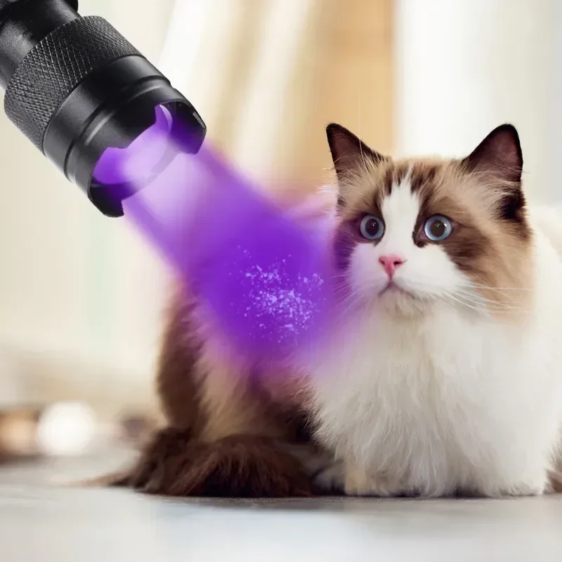 Compact UV Flashlight - Zoomable Ultraviolet Inspection Lamp and Stain Detector