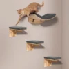 Soft Cushioned Wall Mounted Wooden Cat Shelves Indoor Cat Climbing Furniture & Perch Cat Wall Shelf for Kittens & Cats to Climb 3