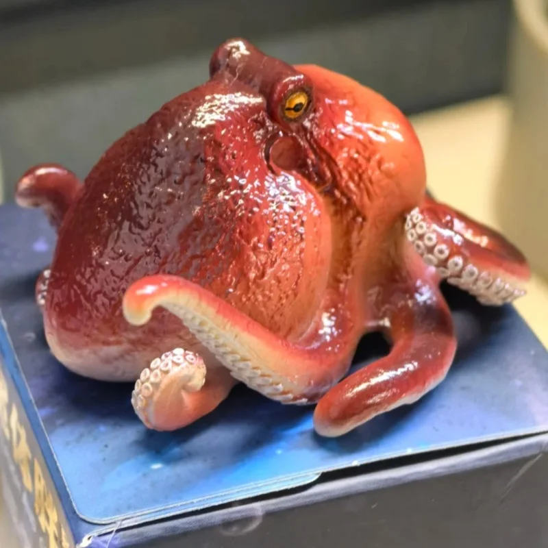Figura di animali grassi Biologia dell'oceano 4a generazione Giocattolo Regalo di compleanno - immagine 5