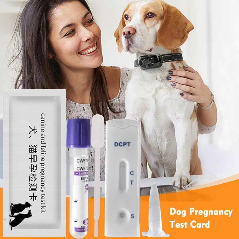 Dog Pregnancy Test Card Canine Feline Early Pregnancy Test Strips Kit Blood Serum Method For Pet Dog And Bulldog X5l9